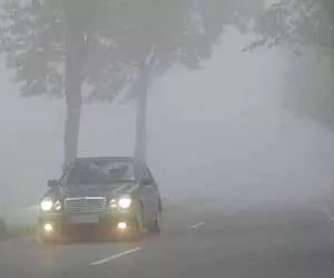  Le brouillard dans les rêves Rêver de brouillard